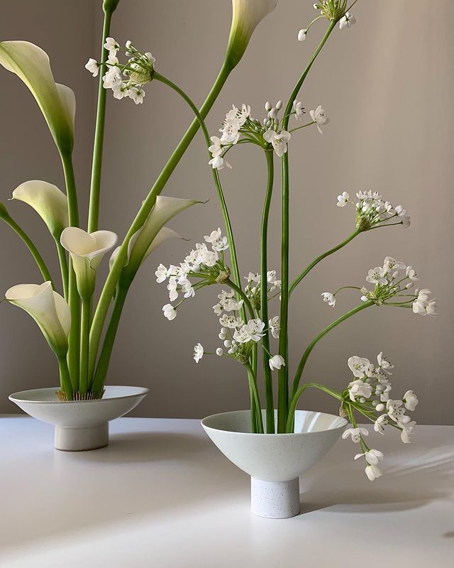 Image florale, printemps